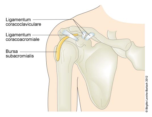 Subakromiale Bursa